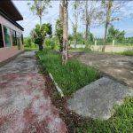 ที่ดินบางเสร่สัตหีบพัทยา | บ้านพัทยา คอนโดพัทยา ที่ดินพัทยา ขาย-ให้เช่า อสังหาริมทรัพย์ในพัทยา - Pattaya Houses, Pool Villas and Condos for sale and for rent ขายที่ดินบางเสร่พัทยา