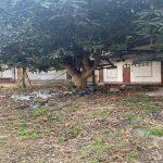 ขายที่ดินกลางเมืองพัทยา4 | บ้านพัทยา คอนโดพัทยา ที่ดินพัทยา ขาย-ให้เช่า อสังหาริมทรัพย์ในพัทยา - Pattaya Houses, Pool Villas and Condos for sale and for rent ขายที่ดินพัทยาใกล้ walking street ใกล้เขาพระตำหนัก ใกล้แหลมบาลีไฮ ทำเลดีสุดใจกลางเมืองพัทย