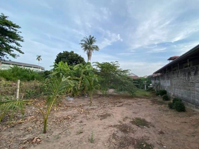 ขายที่ดินบางเสร่ ใกล้พัทยา 200 ตารางวา ฝั่งทะเล