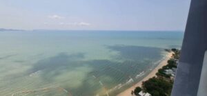 ขายคอนโดติดชายหาดวงศ์อมาตย์พัทยา ตึกหน้า ชั้นสูง 1ห้องนอน 1ห้องน้ำ คอนโดซายร์วงศ์อมาตย์พัทยา
