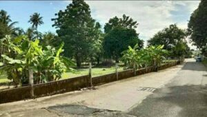 ที่ดินหนองปรือพัทยาราคาถูก