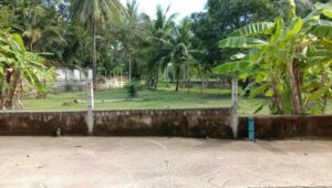 ที่ดินหนองปรือพัทยาราคาถูก