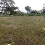 ที่ดินฝั่งทะเลพัทยาราคาถูก | บ้านพัทยา คอนโดพัทยา ที่ดินพัทยา ขาย-ให้เช่า อสังหาริมทรัพย์ในพัทยา - Pattaya Houses, Pool Villas and Condos for sale and for rent ขายที่ดินพัทยาฝั่งทะเลราคาถูก 223 ตารางวา ชัยพฤกษ์ จอมเทียน