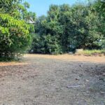 ที่ดินห้วยใหญ่ราคาถูก | บ้านพัทยา คอนโดพัทยา ที่ดินพัทยา ขาย-ให้เช่า อสังหาริมทรัพย์ในพัทยา - Pattaya Houses, Pool Villas and Condos for sale and for rent ขายที่ดินห้วยใหญ่ทำเลดีใกล้วัดห้วยใหญ่ 1ไร่2งาน27ตารางวา