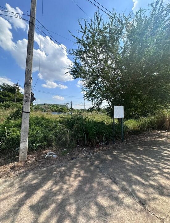 ที่ดินฝั่งทะเลบางเสร่292ตารางวา12