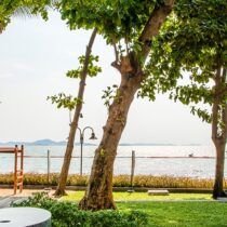 zire wongamat condominium for rent9 | บ้านพัทยา คอนโดพัทยา ที่ดินพัทยา ขาย-ให้เช่า อสังหาริมทรัพย์ในพัทยา - Pattaya Houses, Pool Villas and Condos for sale and for rent zire wongamat condominium for rent