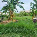 ขายที่ดินฝั่งทะเลพัทยาราคาถูก