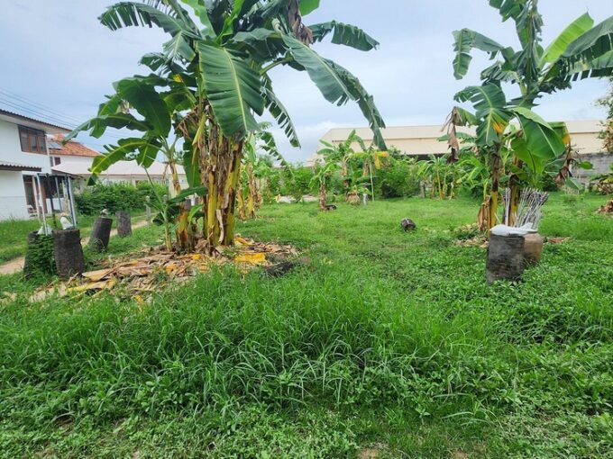 Affordable Land for Sale in Soi Wat Boon Jomtien Pattaya near Sukhumvit Road