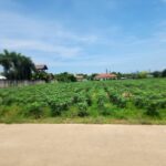 ที่ดินห้วยใหญ่พัทยาพื้นที่ขนาดใหญ่1 | บ้านพัทยา คอนโดพัทยา ที่ดินพัทยา ขาย-ให้เช่า อสังหาริมทรัพย์ในพัทยา - Pattaya Houses, Pool Villas and Condos for sale and for rent ที่ดินห้วยใหญ่พัทยา 4ไร่กว่า ใกล้ตลาดเห่าดง