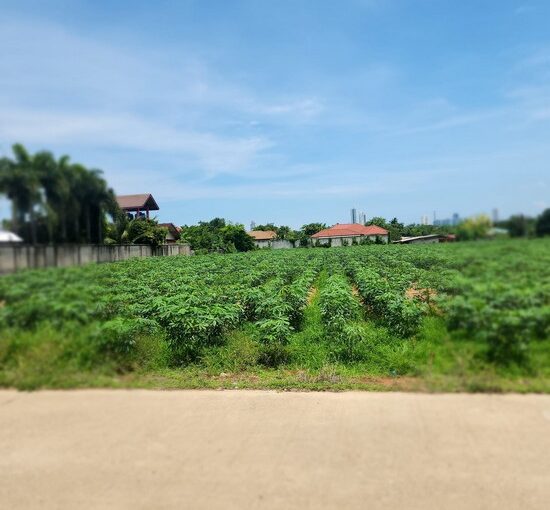 A large piece of land for sale in Huay Yai Pattaya, 4rais 83 square wah, Near Hao Dong Market