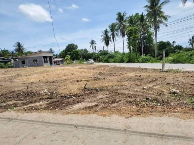 ที่ดินพัทยา ที่ดินห้วยใหญ่พัทยา ติดถนนคอนกรีต 2ด้าน ขนาด 213ตารางวา