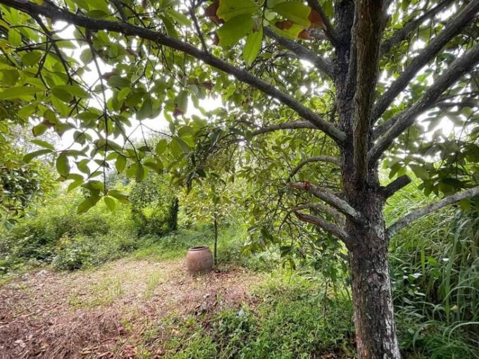 Land available for purchase in Pattaya, situated in an excellent location, in proximity to Ocean Marina Yatch Club and the Icon Siam Pattaya Shopping Mall