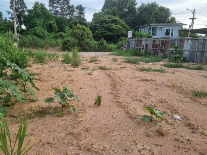 Land for Sale in Soi Wat Boon Kanjanaram Pattaya, 76 Square Wah