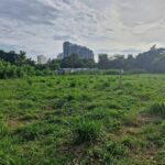 ที่ดินพัทยาใกล้ทะเล2ไร่ | บ้านพัทยา คอนโดพัทยา ที่ดินพัทยา ขาย-ให้เช่า อสังหาริมทรัพย์ในพัทยา - Pattaya Houses, Pool Villas and Condos for sale and for rent ที่ดินพัทยาใกล้ทะเลจอมเทียน ใกล้หาดจอมเทียน ขนาด 2ไร่