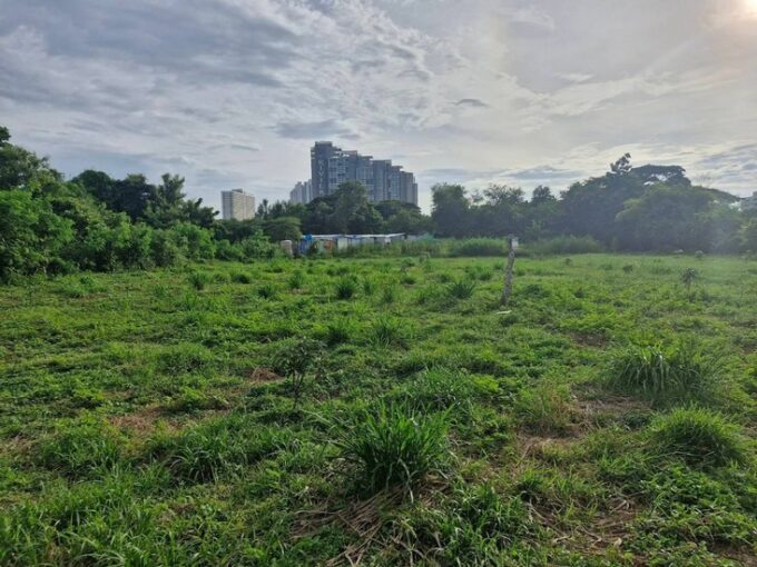 Land close to Jomtien Beach Pattaya for Sale, spanning an area of 2 rai, featuring a garden plot, conveniently located next to the road and in proximity to Jomtien Beach