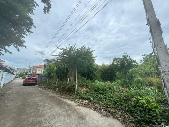 Land in Pattaya, an excellent location near the Sanctuary of Truth and Wong Amat Beach, with a size of 81 square wah