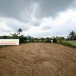 ที่ดินติดสวนนงนุชพัทยา1 | บ้านพัทยา คอนโดพัทยา ที่ดินพัทยา ขาย-ให้เช่า อสังหาริมทรัพย์ในพัทยา - Pattaya Houses, Pool Villas and Condos for sale and for rent ที่ดินติดสวนนงนุชพัทยา