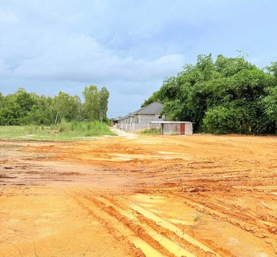 ขายที่ดินเปล่าพัทยา ห้วยใหญ่พัทยา ใกล้ black forest เหมาะทำบ้านขาย คุ้มค่าการลงทุน