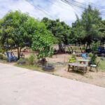 ที่ดินพัทยาติดถนนเขามะกอกห้วยใหญ่2 | บ้านพัทยา คอนโดพัทยา ที่ดินพัทยา ขาย-ให้เช่า อสังหาริมทรัพย์ในพัทยา - Pattaya Houses, Pool Villas and Condos for sale and for rent ที่ดินพัทยาติดถนนเขามะกอกห้วยใหญ่