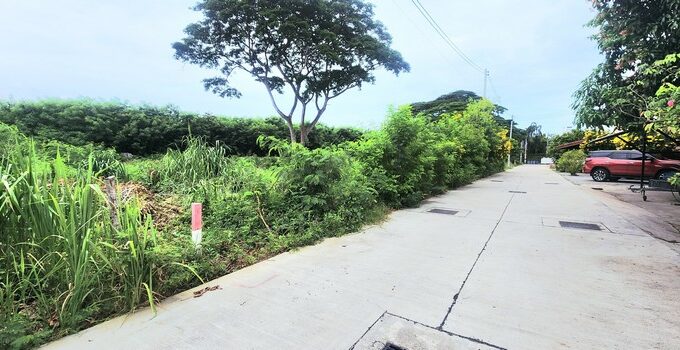 ที่ดินฝั่งทะเลพัทยาซอยวัดบุญกาญจนา