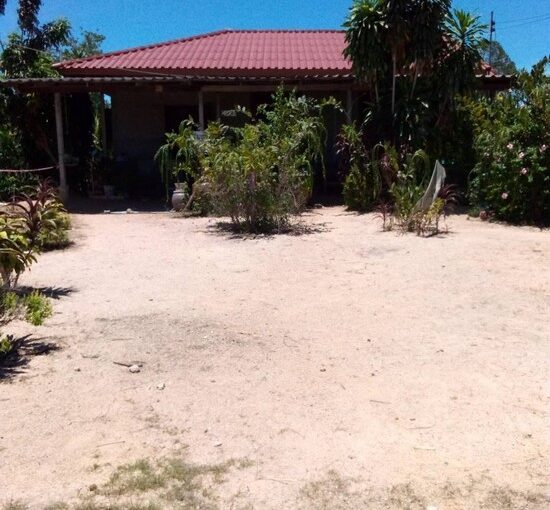 ที่ดินพัทยา นาเกลือ พัทยาเหนือ ใกล้ รพ.กรุงเทพพัทยา ใกล้สุขุมวิท ขนาด 178ตารางวา ขายราคาถูก